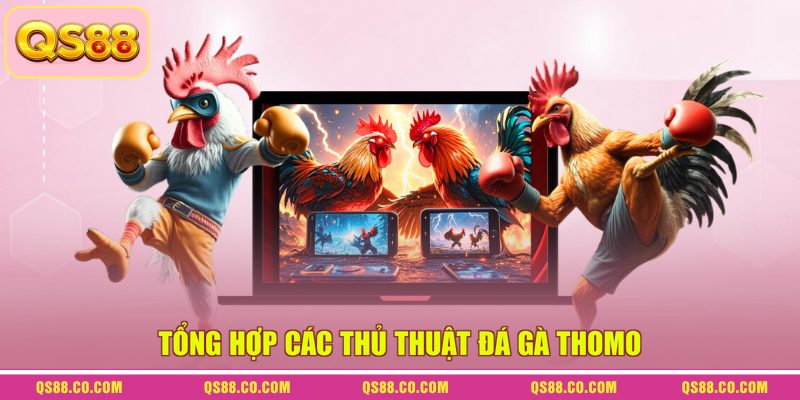 Tổng hợp các thủ thuật đá gà Thomo Tổng hợp các thủ thuật đá gà Thomo